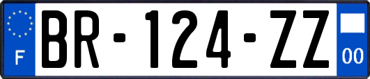 BR-124-ZZ