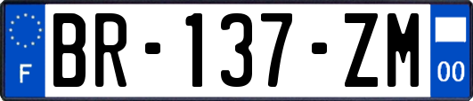 BR-137-ZM