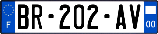 BR-202-AV