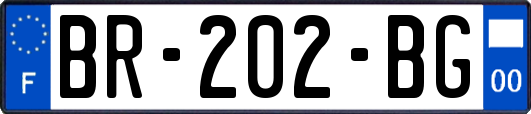 BR-202-BG