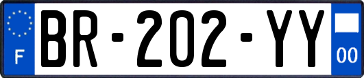 BR-202-YY