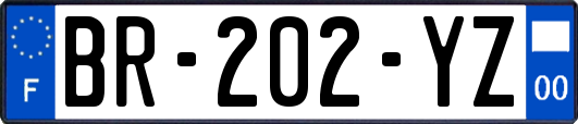 BR-202-YZ