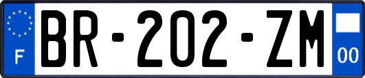 BR-202-ZM