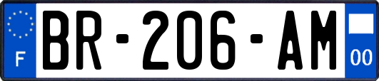 BR-206-AM