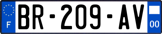 BR-209-AV