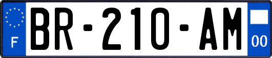 BR-210-AM