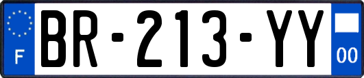 BR-213-YY