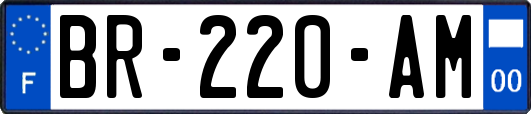 BR-220-AM
