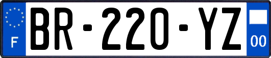 BR-220-YZ
