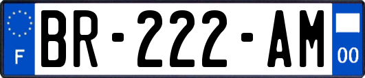 BR-222-AM