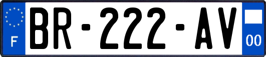 BR-222-AV