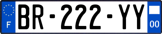 BR-222-YY