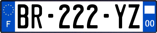 BR-222-YZ