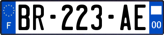 BR-223-AE