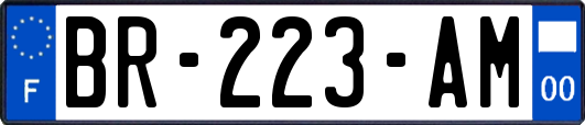 BR-223-AM