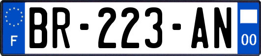 BR-223-AN