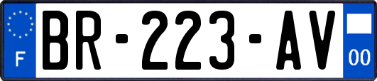 BR-223-AV