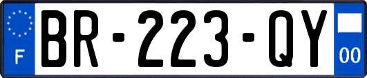 BR-223-QY
