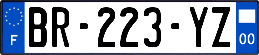 BR-223-YZ