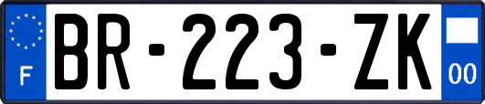 BR-223-ZK