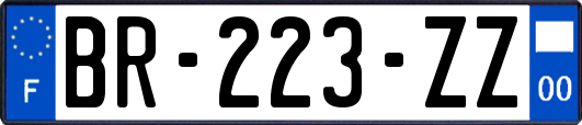 BR-223-ZZ