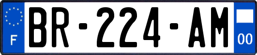 BR-224-AM