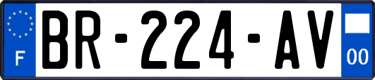 BR-224-AV