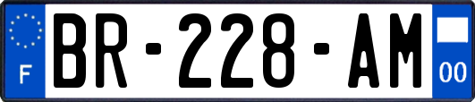 BR-228-AM