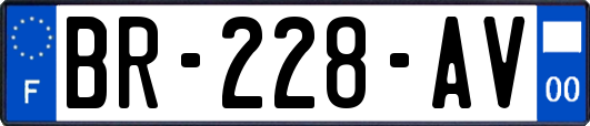 BR-228-AV