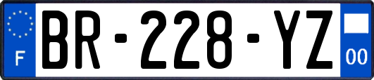 BR-228-YZ