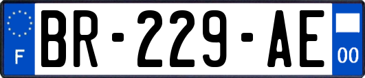 BR-229-AE