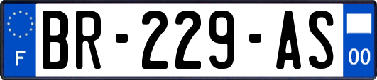 BR-229-AS