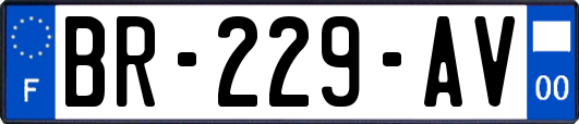 BR-229-AV
