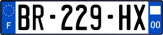 BR-229-HX