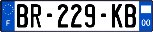 BR-229-KB