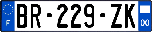 BR-229-ZK