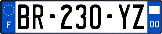BR-230-YZ