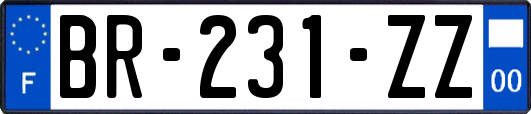 BR-231-ZZ