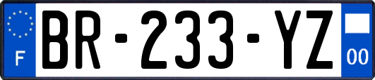 BR-233-YZ