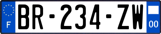 BR-234-ZW