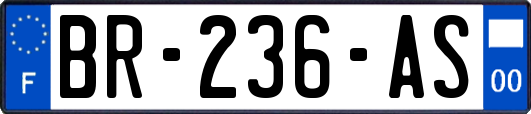 BR-236-AS