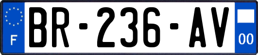 BR-236-AV