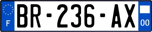 BR-236-AX