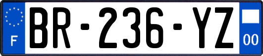 BR-236-YZ