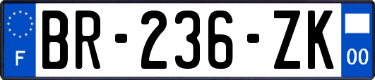 BR-236-ZK