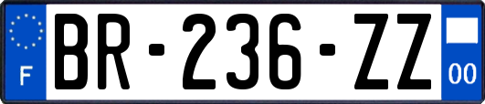 BR-236-ZZ