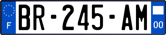 BR-245-AM