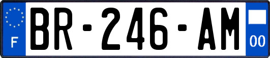 BR-246-AM