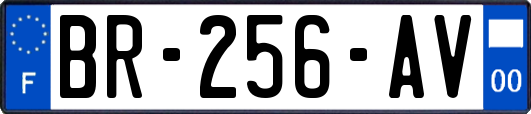 BR-256-AV