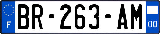 BR-263-AM